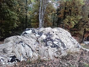 Spargelabdeckung bei Krielowim Oktober